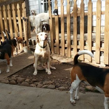 Lakeside Doggie Lounge - Pet Boarding Near Me - Magnolia, Texas Lakeside Doggie Lounge - Pet Boarding Near Me - Magnolia, Texas