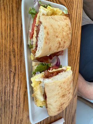 The Backyard by null