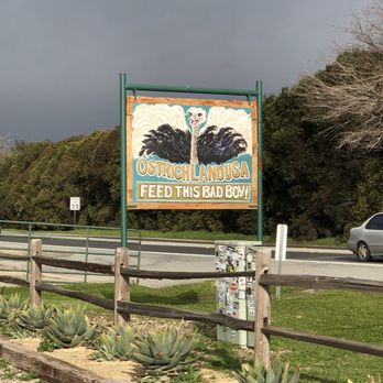 Ostrichland USA - Attraction Farms Near Me - Solvang, California Ostrichland USA - Attraction Farms Near Me - Solvang, California