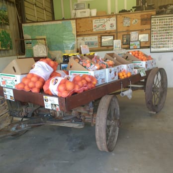 Friend's Ranches - Different types of oranges for sale daily. - Fruits & Veggies Near Me - Ojai, California Friend's Ranches - Different types of oranges for sale daily. - Fruits & Veggies Near Me - Ojai, California