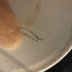 Trash in my smoothie!