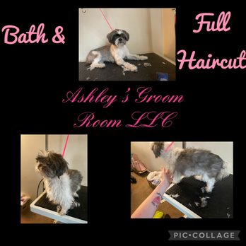 Ashley’s Groom Room - Bath & Full HairCut - Pet Groomers Near Me - California, Maryland Ashley’s Groom Room - Bath & Full HairCut - Pet Groomers Near Me - California, Maryland