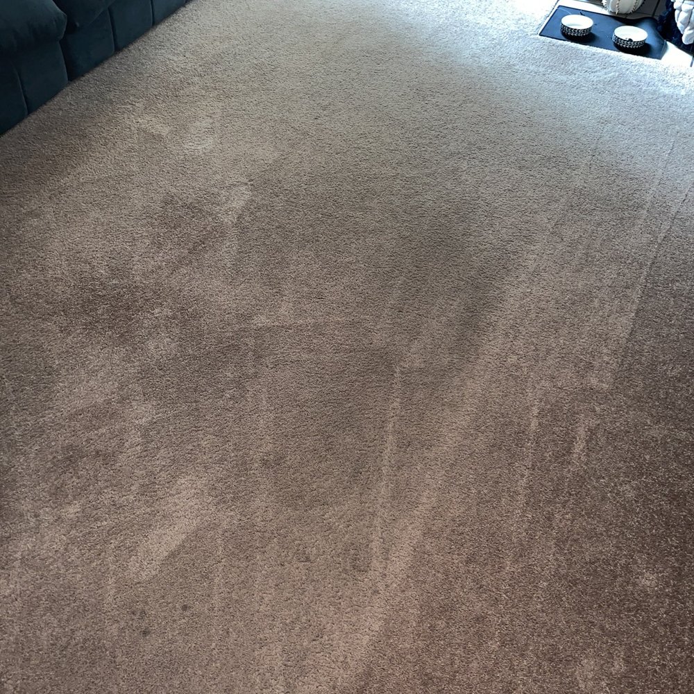 Pristine Cleaners - Fresh/clean carpets - Carpet Cleaning Near Me Pristine Cleaners - Fresh/clean carpets - Carpet Cleaning Near Me