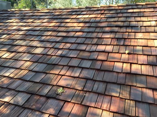 JT Roofing