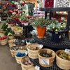 That Bloomin' Place gift card
