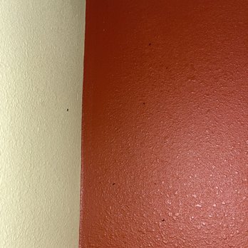 Denny's - Gnats above us where we were sitting. - Diners Near Me - San Diego, California