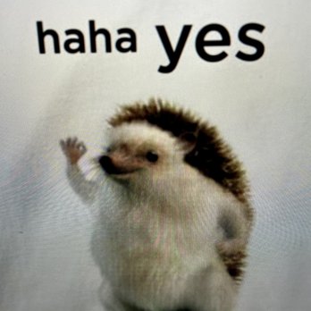 Tesla Motors - Santa Barbara - The adorable hedgehog who appears after making a purchase - Auto Repair Near Me - Santa Barbara, California Tesla Motors - Santa Barbara - The adorable hedgehog who appears after making a purchase - Auto Repair Near Me - Santa Barbara, California