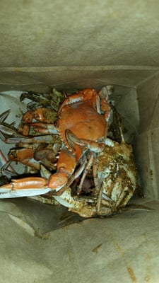 Ernie's Crab House by null