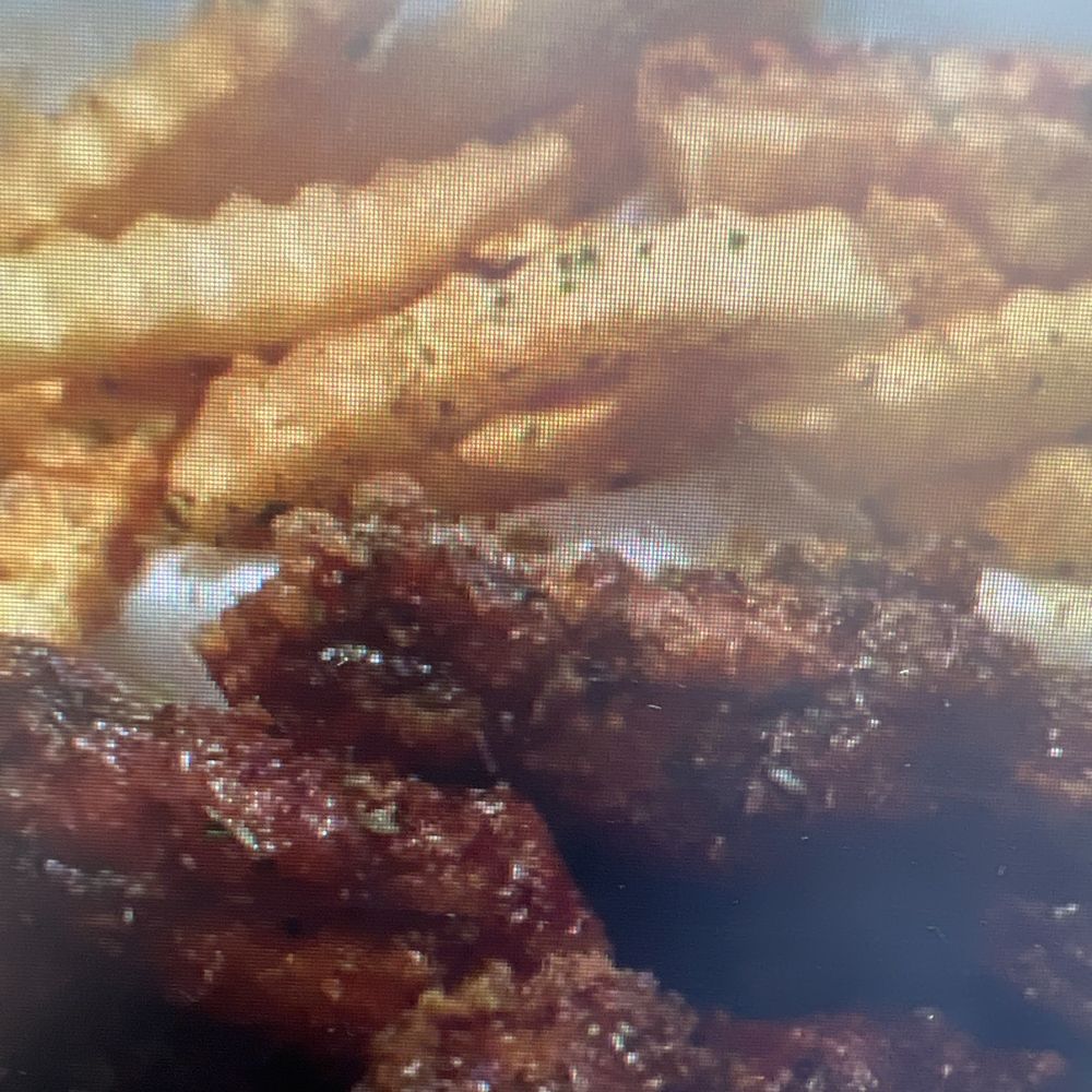 Yeti Wingz - Best Wingz ever - Chicken Wings Near Me - Oroville, California Yeti Wingz - Best Wingz ever - Chicken Wings Near Me - Oroville, California
