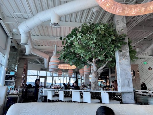 DOSALAS latin kitchen + tequila bar by null