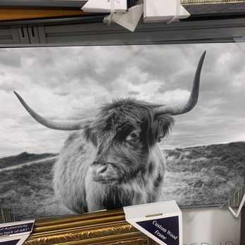 HomeGoods - Cow picture framed - Home Decor Near Me - Massapequa, New York HomeGoods - Cow picture framed - Home Decor Near Me - Massapequa, New York