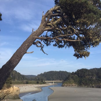 Mendocino Headlands Park - Parks Near Me Mendocino Headlands Park - Parks Near Me