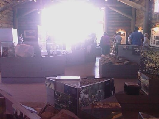 Mount Rainier by null