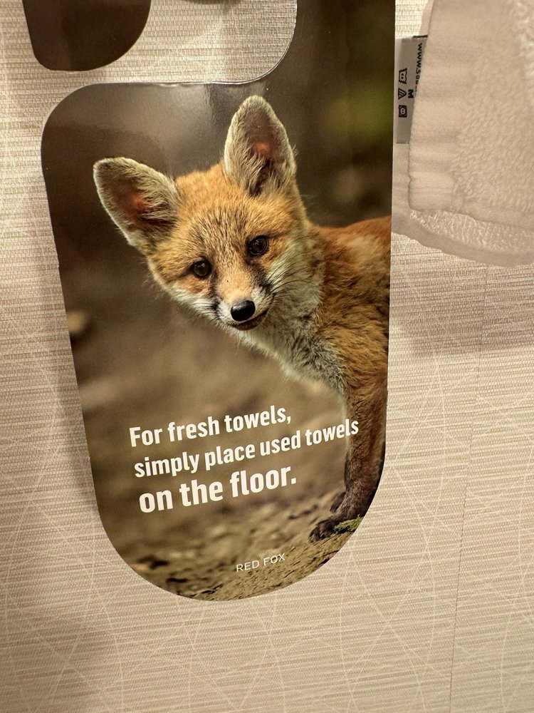 Holiday Inn & Suites - East Peoria - wedding in East Peoria, IL