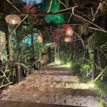 Alux Restaurant - Mexican Near Me - Playa del Carmen, ROO Alux Restaurant - Mexican Near Me - Playa del Carmen, ROO