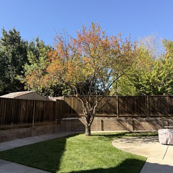 SSAW Tree & Gardening Services - Tree Services Near Me - Tracy, California SSAW Tree & Gardening Services - Tree Services Near Me - Tracy, California