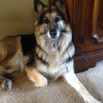 Caring Pet Crematory - Pet Cremation Services Near Me - Sacramento, California Caring Pet Crematory - Pet Cremation Services Near Me - Sacramento, California