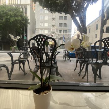Dalian's Cafe - Seating - Cafes Near Me - Los Angeles, California