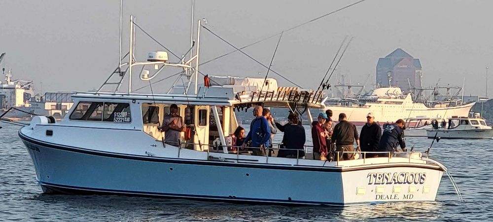 Tenacious Charter Fishing Logo