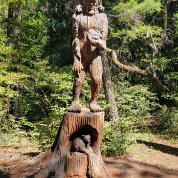 Drive-Thru Tree - Big Foot! - Parks Near Me - Leggett, California Drive-Thru Tree - Big Foot! - Parks Near Me - Leggett, California