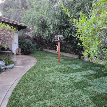Paradise Lawns - St. Augustin in the front for shading issues - Lawn Services Near Me Paradise Lawns - St. Augustin in the front for shading issues - Lawn Services Near Me