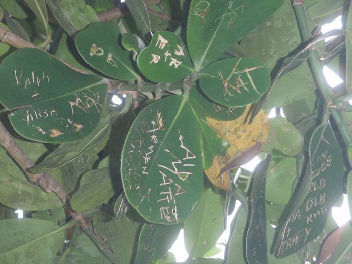 Slide of Butler Plumbing