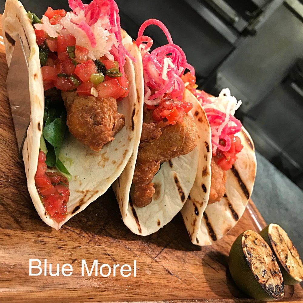 BLUE MOREL RESTAURANT AND WINE BAR 206 Photos & 181 Reviews Wine