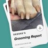 Dog-Gone Nails gift card