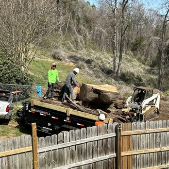 SG Tree service - Guys working hard! - Tree Services Near Me SG Tree service - Guys working hard! - Tree Services Near Me