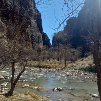 Zion National Park - Riverside Walk, stop 9 - Parks Near Me Zion National Park - Riverside Walk, stop 9 - Parks Near Me