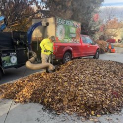 Green Morning Landscaping - Leaf removal