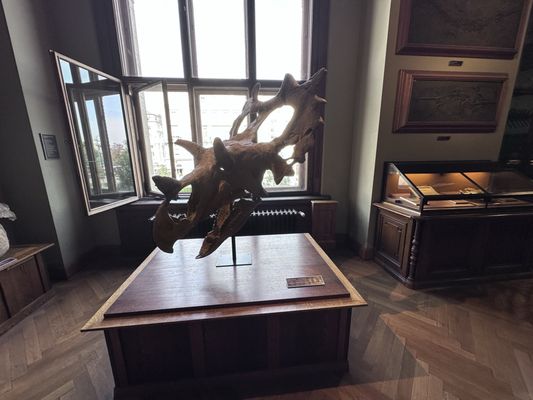 Museum of Natural History Vienna by null