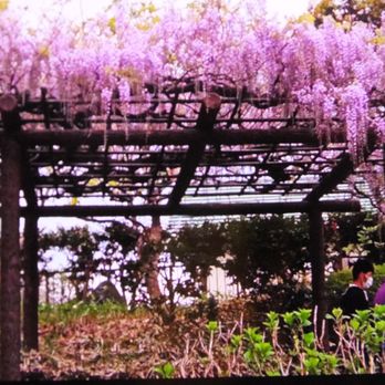 馬場花木園 Public Services Government 馬場2丁目 横浜市 鶴見区 神奈川県 Japan Phone Number Yelp 馬場花木園 Public Services Government 馬場2丁目 横浜市 鶴見区 神奈川県 Japan Phone Number Yelp