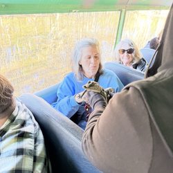Babcock Ranch Eco Tours - Baby alligator
