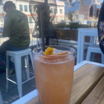 Darling Aviary - Bars Near Me - Sacramento, California Darling Aviary - Bars Near Me - Sacramento, California