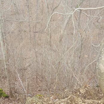 Boone Cliffs State Nature Preserve - Hiking Near Me - Burlington, Kentucky