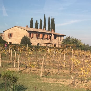 Podere La Marronaia - Wine Tasting Room Near Me - San Gimignano, SI