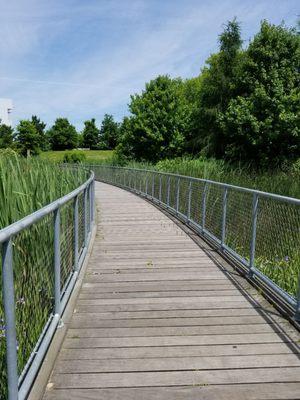 Corktown Common by null