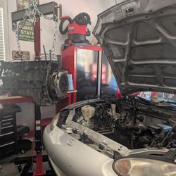 Rabbit Mobile Auto