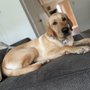 Photo of The Goodest Boyz