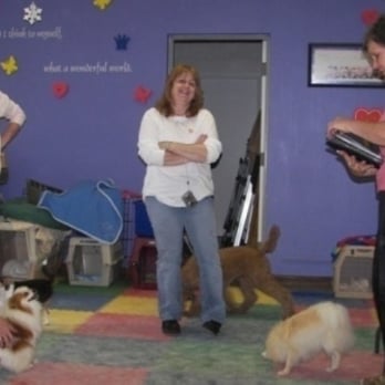 Play Dog Excellent - Dubby and Lucy graduate - Pet Sitting Near Me - Chattanooga, Tennessee Play Dog Excellent - Dubby and Lucy graduate - Pet Sitting Near Me - Chattanooga, Tennessee