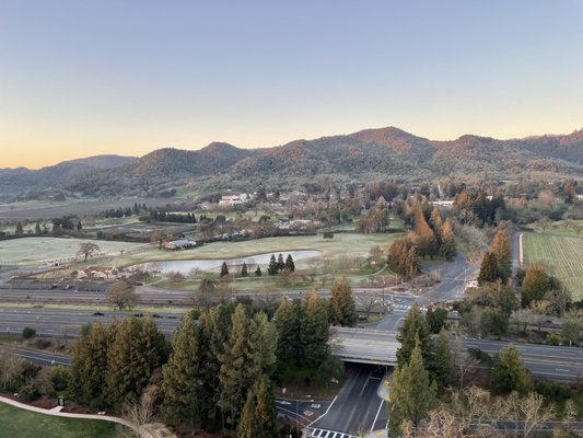 Napa Valley Aloft Hot Air Balloon Rides by null