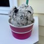 Photo of The Maine Scoop