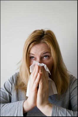 RVA Mold Removal - mold inspector in North Chesterfield, VA