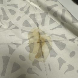 My dog expressed on my bed 3 days after grooming and specifically asked to pay attention to this