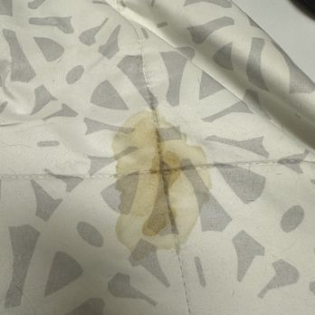 PetSmart - My dog expressed on my bed 3 days after grooming and specifically asked to pay attention to this - Pet Training Near Me - Spanish Springs, Nevada