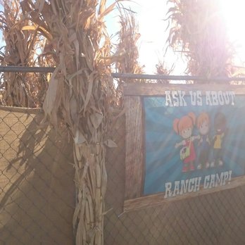Galloping Goat Pumpkin Patch - Pumpkin Patches Near Me - Rio Rancho, New Mexico