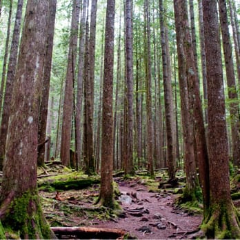 Wallace Falls State Park - Parks Near Me - Gold Bar, Washington Wallace Falls State Park - Parks Near Me - Gold Bar, Washington