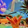 Photo of Hard Rock Beach Club
