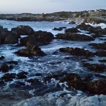 Asilomar State Beach - Parks Near Me - Pacific Grove, California Asilomar State Beach - Parks Near Me - Pacific Grove, California